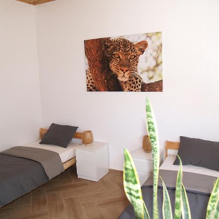 Dar Makai Surf Hotel Tamraght Экстерьер фото