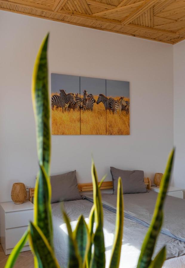 Dar Makai Surf Hotel Tamraght Экстерьер фото